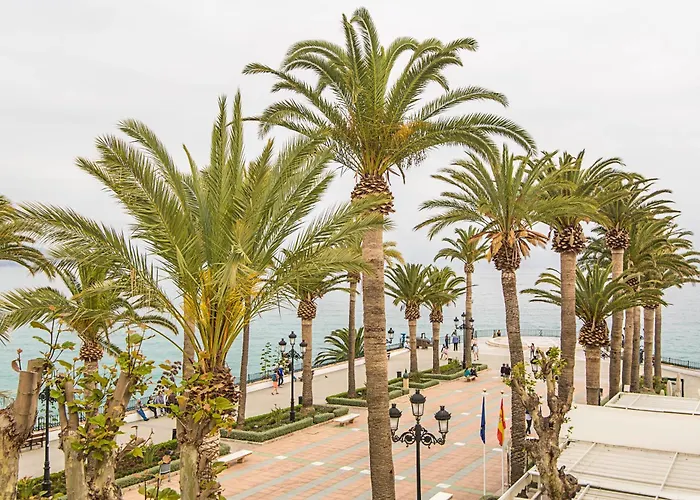 Marissal By Dorobe Nerja